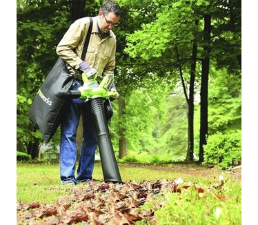 Greenworks GD40BV