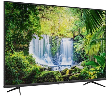 TCL 55P615 Zwart