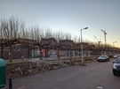 Motorola Moto Edge 30 Ultra vs Xiaomi 12T Pro - Dagfoto's - Hoofdcamera