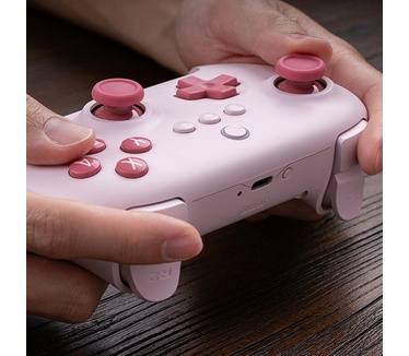 8Bitdo Ultimate C