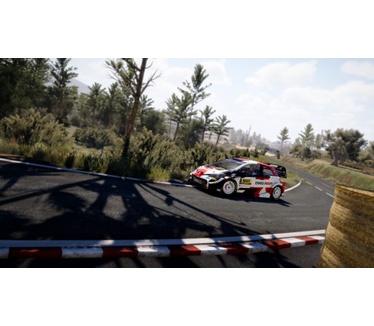 WRC 10