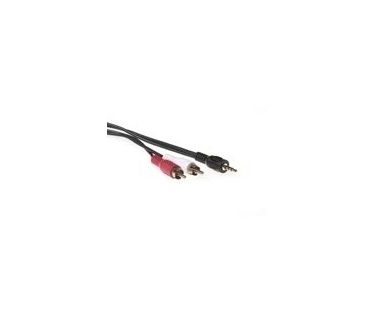 Intronics Verloop kabel 3.5 mm jack male - 2x tulp male