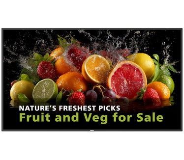 Philips 65BDL5050D/00