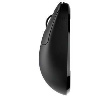 Pulsar TenZ Signature Edition Medium