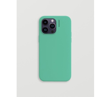 Nudient Base Case