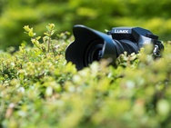 Panasonic G7 fotogallerij