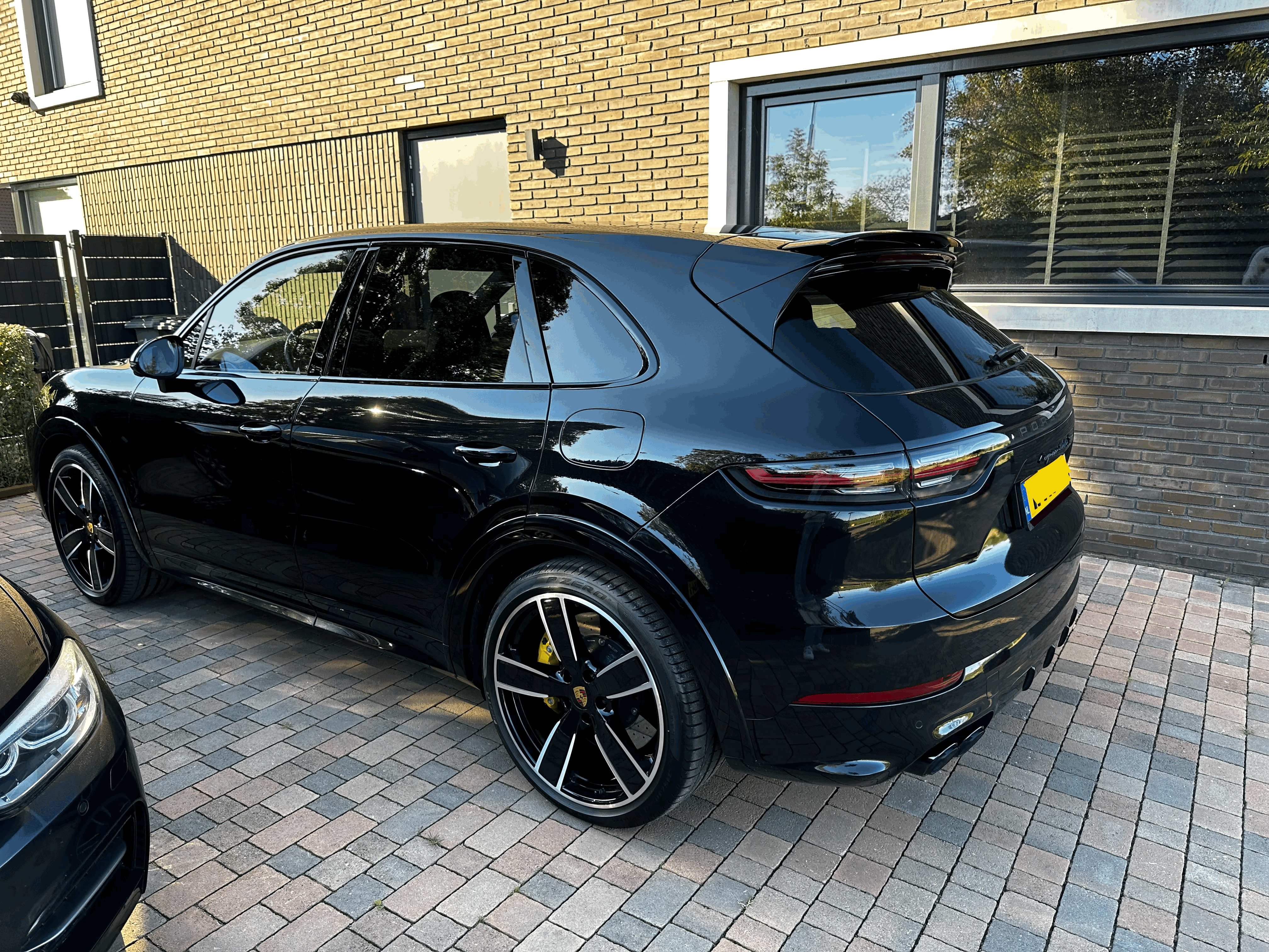 grappige schattige vogel. decoratieve dikke meid zit. vector illustratie  2896443 Vectorkunst bij Vecteezy, image size:4032x3024