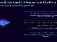 Arm Lumex Nano-cores