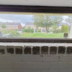 Afbeeldingslocatie: https://tweakers.net/i/6AiptmAHkj7uCZMkiweh6QOl4y4=/232x232/filters:strip_icc():strip_exif()/f/image/tx23VZvIi2wXEmpsjQv3qZpy.jpg?f=fotoalbum_tile
