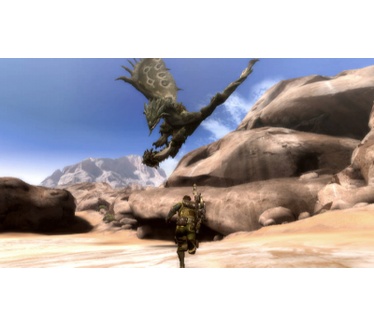 Monster Hunter Tri