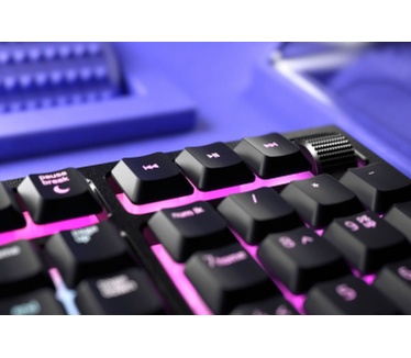 Razer Ornata V2 (Qwerty US)