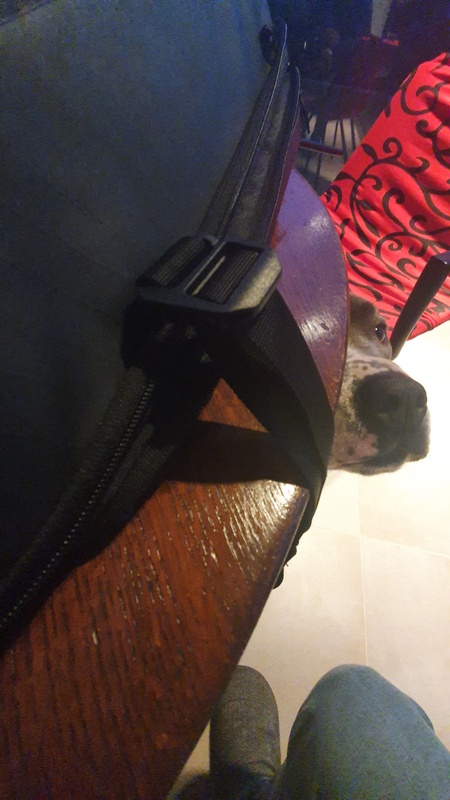 Afbeeldingslocatie: https://tweakers.net/i/6DQ8fOD-yJCxNU82C0MxWTYeZdQ=/x800/filters:strip_icc():strip_exif()/f/image/nrZTqDw8jjLOTWfeej7AwDqT.jpg?f=fotoalbum_large