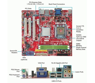 MSI P6NGM-L