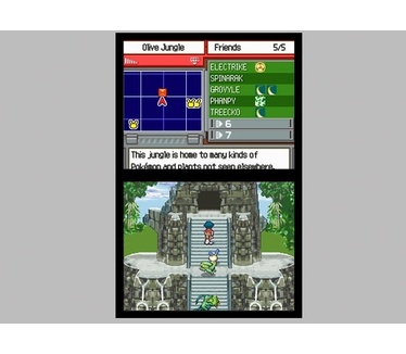 Pokemon Ranger, Nintendo DS