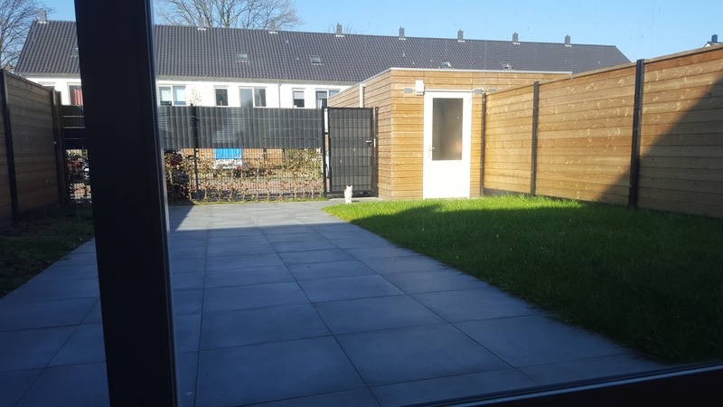 Afbeeldingslocatie: https://tweakers.net/i/6F8_HVl6E1uqZ322q8WrVk9afCs=/800x/filters:strip_icc():strip_exif()/f/image/TexrQVjxQMbdZIEsqDkpB6Vw.jpg?f=fotoalbum_large