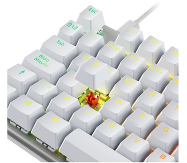 Newskill Gaming NS-KB-SERIKEV2-TKL-IVO