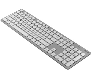 ASUS W5000