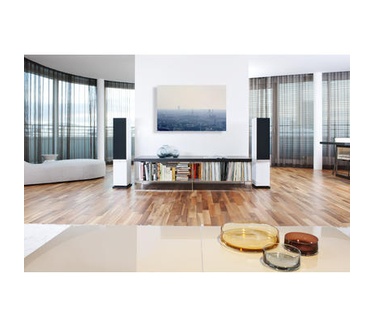 Teufel Raumfeld Speaker L 2.0 (Wit, Zilver)