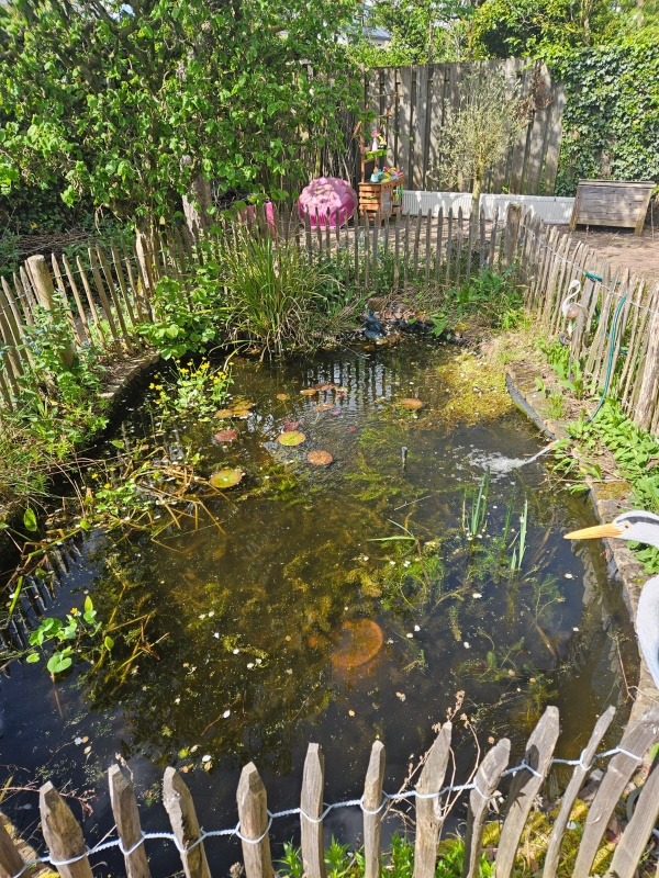 Afbeeldingslocatie: https://tweakers.net/i/6RsrBbmBO6rXePbChRRKPiXe1ZY=/x800/filters:strip_icc():strip_exif()/f/image/QhDFYhmW7NReIHdrvKceBZ3o.jpg?f=fotoalbum_large