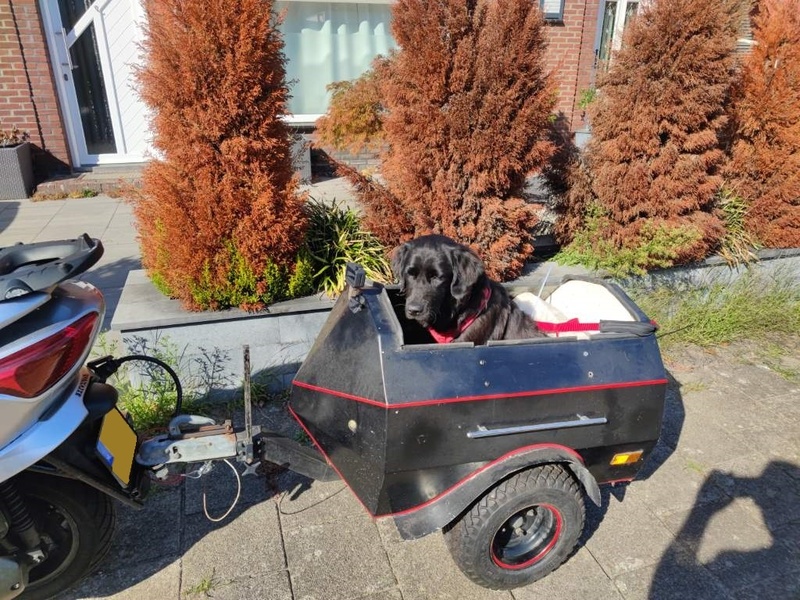 Afbeeldingslocatie: https://tweakers.net/i/6Sxc7Q1UaGGc05GAufLuveBPBVo=/800x/filters:strip_icc():strip_exif()/f/image/eMVslc750cjifmuQdsD9YFWD.jpg?f=fotoalbum_large