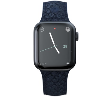 Njord byElements Salmon Leather Watch Strap - Apple Watch 40/41mm - Vatn