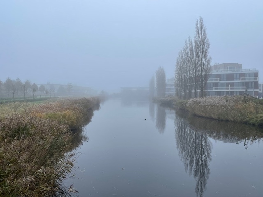 Afbeeldingslocatie: https://tweakers.net/i/6TUZswV1IK8K8Lt5wW_hyrUlwRs=/full-fit-in/4920x3264/filters:max_bytes(3145728):no_upscale():strip_icc():fill(white):strip_exif()/f/image/klNTEfywgLIGHsimFya0WqPF.jpg?f=user_large