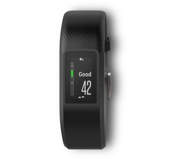 Garmin vívosport Large Zwart (Grijs)