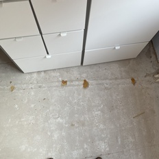 Afbeeldingslocatie: https://tweakers.net/i/6ZzUl5bWOw6mFoqD-u4h-W9w0Ec=/232x232/filters:strip_icc():strip_exif()/f/image/IQhkrzIA4iWYlI65s4jmedhV.jpg?f=fotoalbum_tile