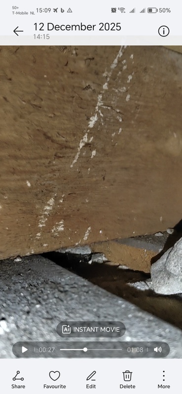 Afbeeldingslocatie: https://tweakers.net/i/6_6RGT5aC7rzHqDsNCw1UkIINFQ=/x800/filters:strip_icc():strip_exif()/f/image/tUbSLf6Ls3ocyuNocjQSwIJD.jpg?f=fotoalbum_large