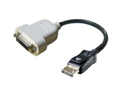 Dell DisplayPort / DVI-D