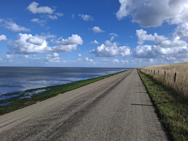 Afbeeldingslocatie: https://tweakers.net/i/6c_EgqV8VhcYdaNv_B8si6lZXTw=/800x/filters:strip_icc():strip_exif()/f/image/OYUPxAP7o3r2dOltHqNa45kW.jpg?f=fotoalbum_large