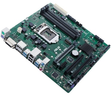 Asus B250M-C PRO/CSM