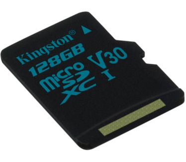 Kingston Canvas Go!