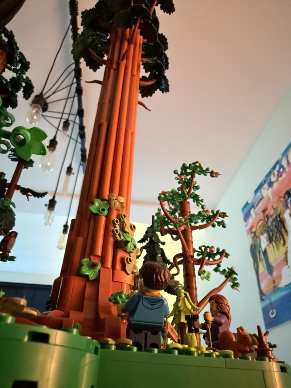 Afbeeldingslocatie: https://tweakers.net/i/6e9mNne2Vlx1Qb3mXDOq0a1Cs0w=/x800/filters:strip_icc():strip_exif()/f/image/IueZiWb9Cg6dQaAB24kkxB6u.jpg?f=fotoalbum_large