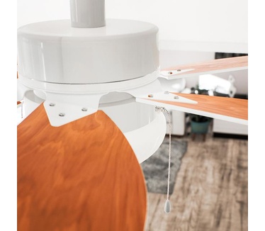 Cecotec 05939