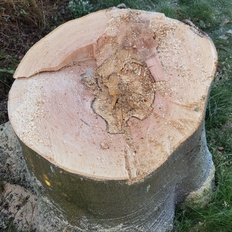 Afbeeldingslocatie: https://tweakers.net/i/6i1LaDzh1qVXarZVR9L3lJhEVf8=/232x232/filters:strip_icc():strip_exif()/f/image/RAY28Ovf1XGrG0T2P253d11z.jpg?f=fotoalbum_tile