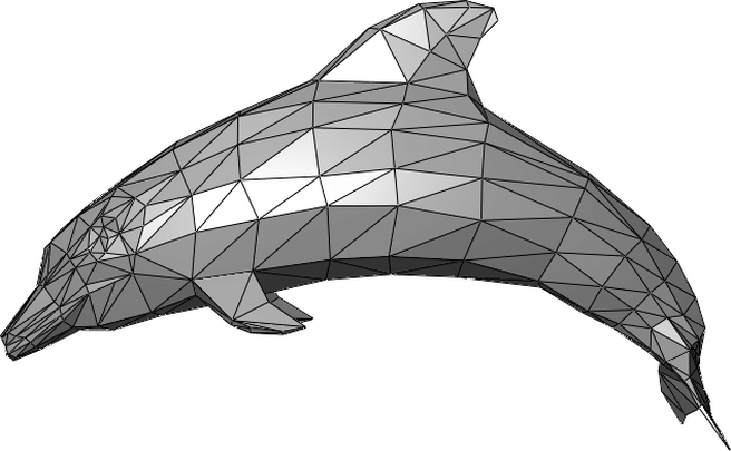 Polygon mesh dolfijn