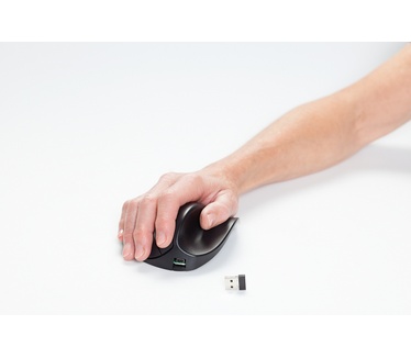 HandshoeMouse HandShoe Mouse