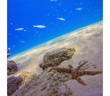 Polar Pro Aqua Filter 3-Pack for HERO5 Super Suit incl. hardcase