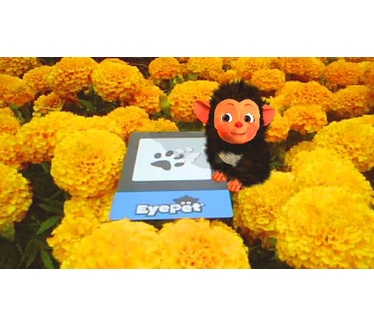 EyePet