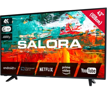 Salora 43BXX9000