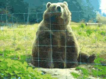 Afbeeldingslocatie: https://tweakers.net/i/6ncF0pGtIlberulItsL31bUQpLY=/full-fit-in/4000x4000/filters:no_upscale():fill(white):gifsicle():strip_exif()/f/image/flWeAim2k9H45znVtWUH6G0Q.gif?f=user_large