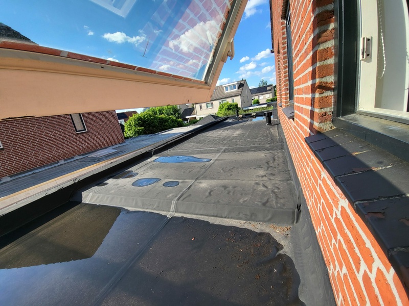 Afbeeldingslocatie: https://tweakers.net/i/6pASxWl8p4PuD-qTJaIZnStbvD8=/800x/filters:strip_icc():strip_exif()/f/image/27AcnJ6uNEfkomHDO1LcbDEB.jpg?f=fotoalbum_large