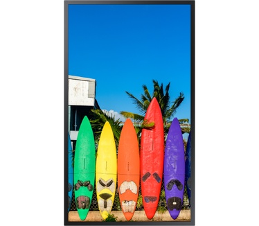 Samsung 55" Window Signage OMB 4K