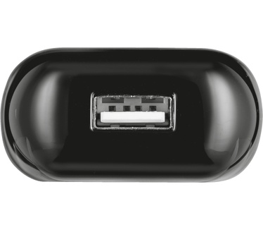 Trust ULTRA FAST WALL