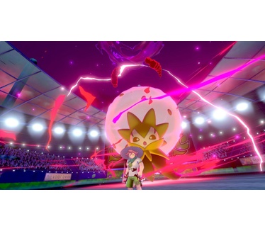 Pokemon Epee, Switch