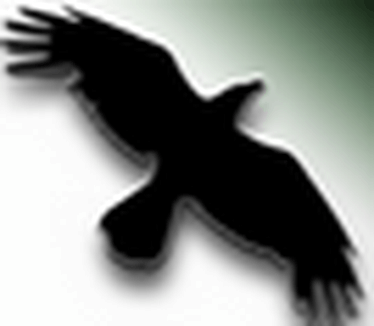 Data Crow logo (60 pix)