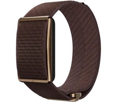 Polar Loop, Brons (Bruin)