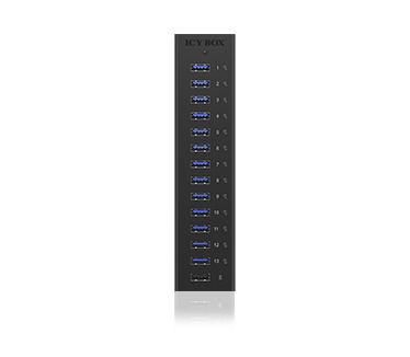 Raidsonic IB-AC6113