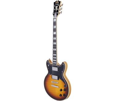 D'Angelico Guitars DELUXE BRIGHTON